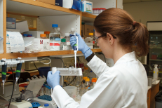 DNA-encoded library selection at BCM CDD